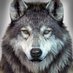 Wolf (@zveet) Twitter profile photo Wolf (@zveet) Twitter profile photo