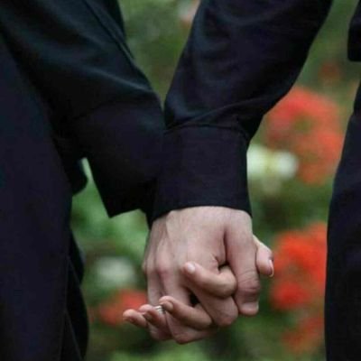 HayderAlmamoori's profile picture. 