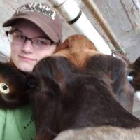 Cow Nerd (@cownerd1) 's Twitter Profile