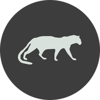 Acemi Pardus (@acemipardus) Twitter profile photo