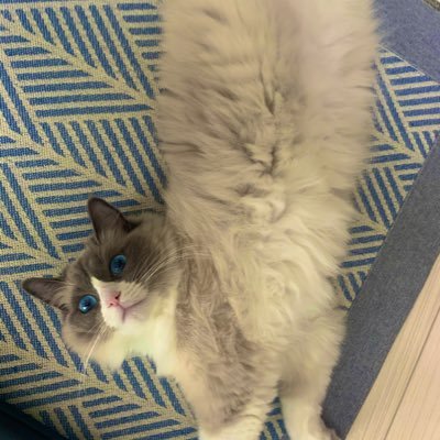 lV7kC30Sbc9WPMl's profile picture. 🧖‍♂️/🏇/🍜