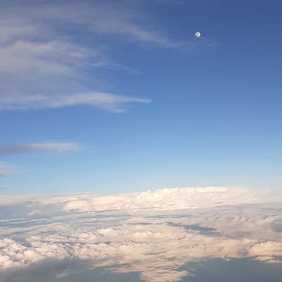 STamaurio's profile picture. I am