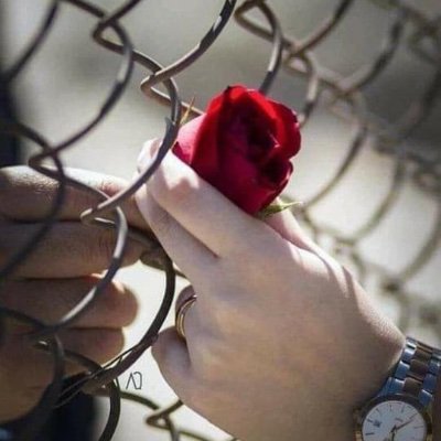 haji_talash's profile picture. 🥀💐نه د ښکلا دعوه لرم نه تر هینداره ښه یم💐🥀
🥀💐زه لکــه کاڼی د رقیب د سره لپاره ښه یم💐🥀