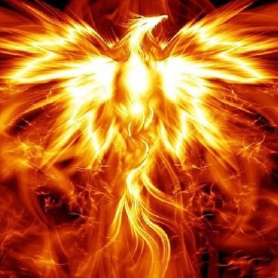 Faisaldawud2's profile picture. ‏أقوى وأسمى إرادة في الحياة لا تتمثل في الكفاح التافه من أجل العيش  ، إنما في إرادة الحرب ، إرادة السيطرة.