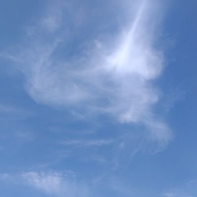 cris_ps98's profile picture. 💜💚💛❤🌹