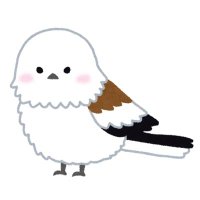 くり🐈‍⬛ (@hkt_trr_0402) Twitter profile photo