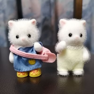 Syl_shu's profile picture. 就活生の残滓/無言フォロー失礼します🙇‍♀️💦