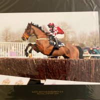 Murray Dodd (@murraydodd17) 's Twitter Profile
