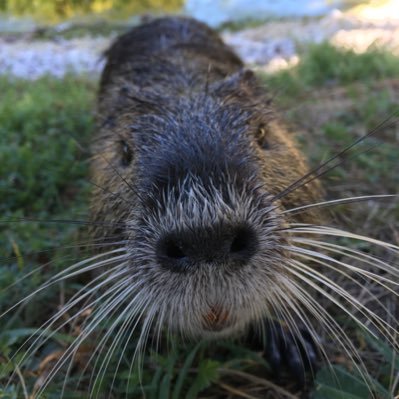 __Ina__81's profile picture. Zimtzicke von Beruf 🙋🏻‍♀️ Bewegungsjunkie 🏃🏻‍♀️🧘🏻‍♀️ Bilde mir meine eigene Meinung 📚📰