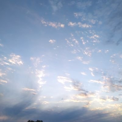 steliogouveia's profile picture. 