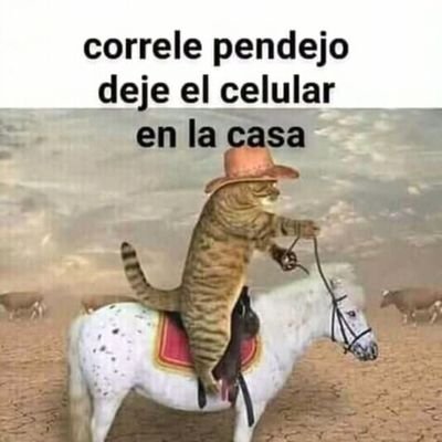 ArmaDoliente's profile picture. La diversión y el deporte al máximo