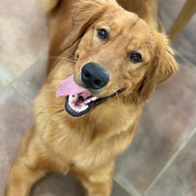 TaraMarie_L's profile picture. 