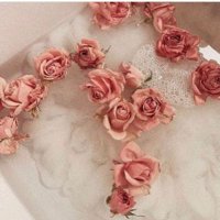 ساره محمد (@sarr9001) 's Twitter Profile