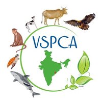 vspca-vizag(@VisakhaSPCA) 's Twitter Profile Photo