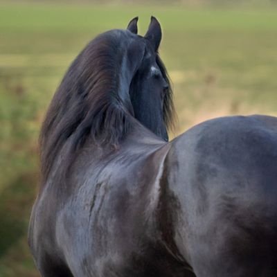 acsisnarf's profile picture. Bemoeit niet..