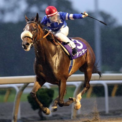 主に所有馬勝利の備忘録とそれ関連 たまにプライベートのネタと毒吐きます 馬のふれあい施設「うまんまパーク」も運営してます @umanmapark