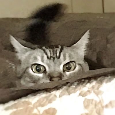 reiMiさんのプロフィール画像