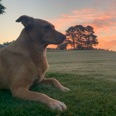 Golf Course Superintendent at White Columns Country Club