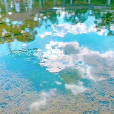 サイコをこよなく愛してます！  seekが大好き！ 最近、スノーマンにも沼ってます。特に翔太に沼り中