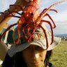takehi's profile picture. 飛び込めデタラメなライフ
腐る直前が食べごろなんです