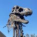 dinosaur (@centipillars) Twitter profile photo dinosaur (@centipillars) Twitter profile photo
