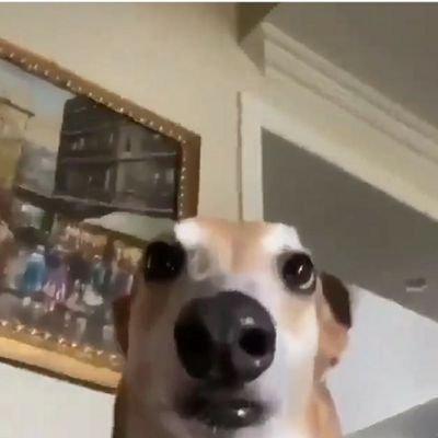 opa