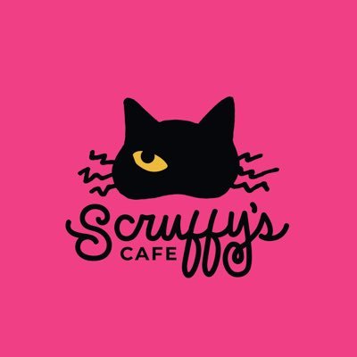 Knoxville’s first and only cat cafe! Your friendly neighborhood cat dealer.