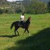 tozeabreu (@tozeabreu1) Twitter profile photo tozeabreu (@tozeabreu1) Twitter profile photo
