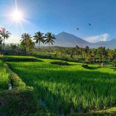 sanwar60683492's profile picture. cari pengtahuan