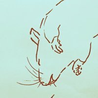 りえ (@pithecus53) 's Twitter Profile Photo りえ (@pithecus53) 's Twitter Profile Photo