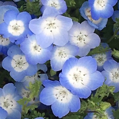 To The World 所詮 占いだけど 運気が良い日にした決断だからと 自分を励ますことができます また 決断を悩んでいるとき 運気の良い日に決めようと ちょっと冷静になって考え直す機会になります 何を信じるかは自由だから 自分が良くなる楽しく