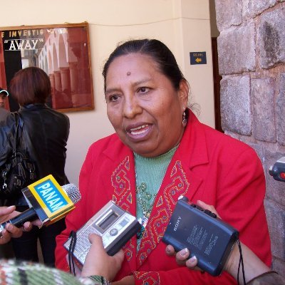 Ex-Congresista de la República del Perú.