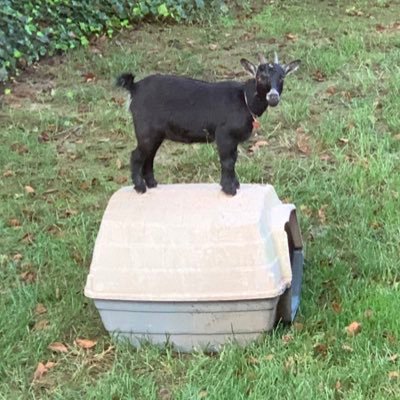 RT_40_2007's profile picture. 