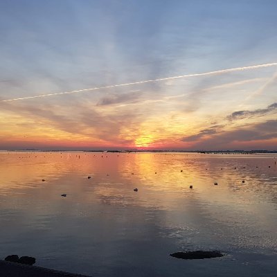 maschryve's profile picture. #fintech #Womeninfintech #leanstartup #designthinking #baas  #innovation enthusiast ☺