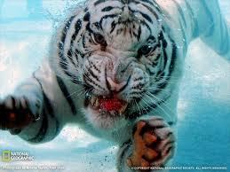 kostolom68's profile picture. Всім привіт....=)добавляйте мене...)))))
All hello....=) add me...)))))