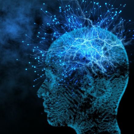 Imaginie2's profile picture. Interested in biological imaging