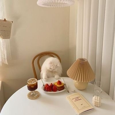 ddさんのプロフィール画像