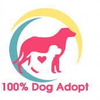 保護犬支援プロジェクト (@jdta_dogadopt) 's Twitter Profile