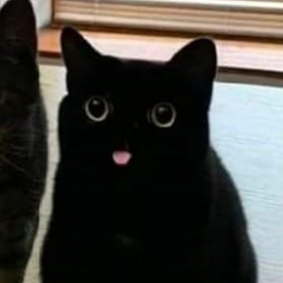 huohuo27555589's profile picture. 这个家伙还没有签名