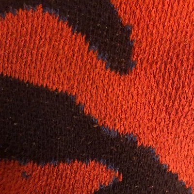 LeilaVargha's profile picture. 