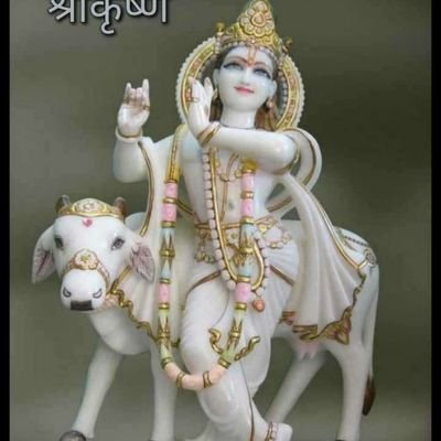 AnuragS11834308's profile picture. indian