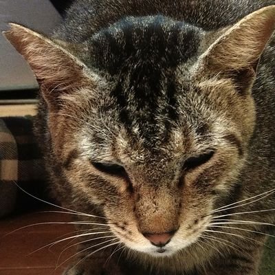 Keikudou1's profile picture. 