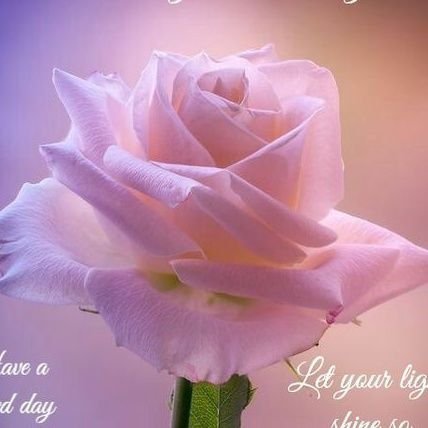 PinksNgc's profile picture. Daughter of the most High...Lover of life💘