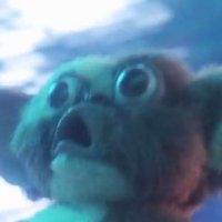 buttheadnugget (@buttheadnugget1) 's Twitter Profile