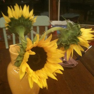 lizziech01's profile picture. mom, wife, violist, knitter,