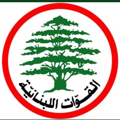 Chadi02056388's profile picture. 