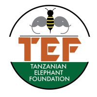 Tanzanian Elephant Foundation(@tz_elephants) 's Twitter Profile Photo
