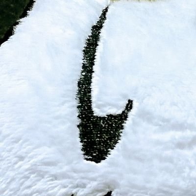 ntn_koko's profile picture. 20↑ 雑食 🐟/🐝💧🎠etc…
コスメとセルフネイルも好きです。基本呟きません。