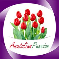 AnatolianPassion(@AnatolianPassi1) 's Twitter Profile Photo