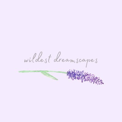 wildest dreamscapes co • dreamy bath bombs • vegan, natural, cruelty free & sustainably sourced